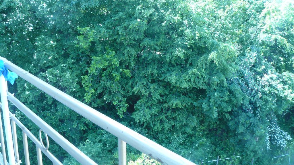 Geto Apartment Belogradchik Εξωτερικό φωτογραφία
